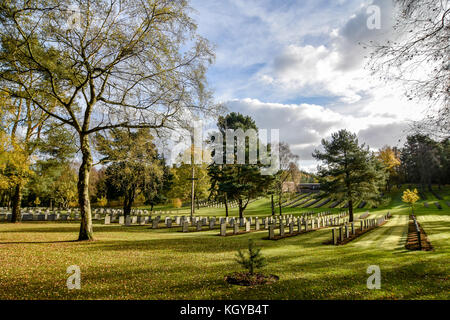 Cannock, Staffordshire. 10. November 2017. Es ist der Tag des Gedenkens Wochenende und hier in Staffordshire erwarten wir am Sonntag am jährlichen anglo-deutschen Erinnerung Tag der Dienst an der Versöhnung, die auf dem deutschen Soldatenfriedhof Cannock Chase gehalten wird. Credit: Daniel James armishaw/alamy leben Nachrichten Stockfoto