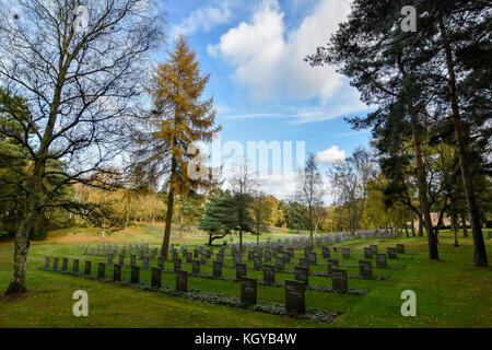 Cannock, Staffordshire. 10. November 2017. Es ist der Tag des Gedenkens Wochenende und hier in Staffordshire erwarten wir am Sonntag am jährlichen anglo-deutschen Erinnerung Tag der Dienst an der Versöhnung, die auf dem deutschen Soldatenfriedhof Cannock Chase gehalten wird. Credit: Daniel James armishaw/alamy leben Nachrichten Stockfoto