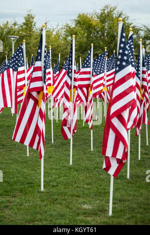 Bereich der Veterans Day amerikanische Flaggen schwenkten in der Brise. Stockfoto