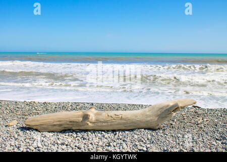 Ein treibholz Anmelden otaki Strand auf der Kapiti Küste von Neuseeland liegt. Stockfoto