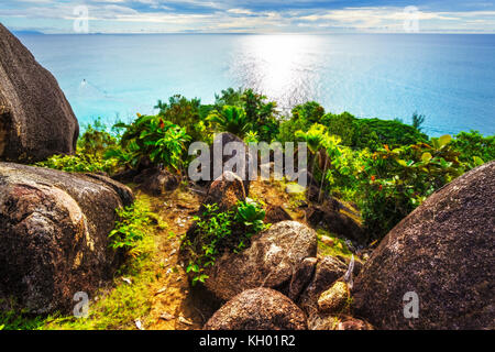 Wanderungen durch den Dschungel zwischen den paradiesischen Stränden Anse Lazio und Anse Georgette, Praslin, Seychellen Stockfoto