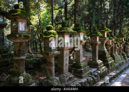 Nara/Japan, 29. Mai 2017: Viele Steinlaternen mit Moos in der Nähe von dem Weg, der Leitung bis zum Kasuga Taisha Shrine abgedeckt Stockfoto