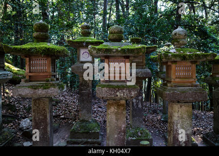 Nara – Japan, 29. Mai 2017: Mit Moos bedeckte Steinlaternen entlang des Weges, der zum Kasuga Taisha-Schrein führt Stockfoto