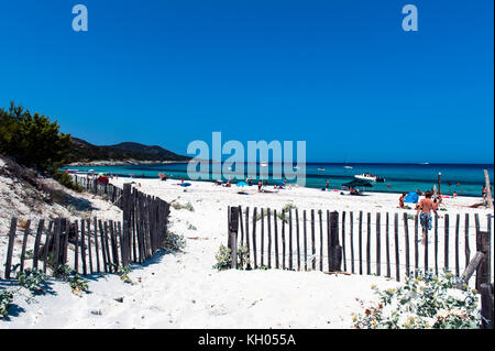 Europa, Frankreich, Corse, Haute Corse (2B). Agriates Wüste. Saleccia. Der weiße Sandstrand. Stockfoto