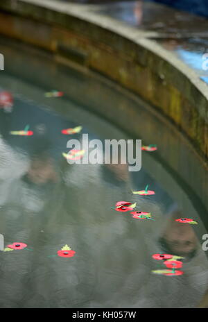 Im Bild: junge kadetten vorbei an den Mohn in den Brunnen. Samstag, 11 November 2017 Re: Armistice Day, zwei Minuten beobachtet wurden, waren wieder zu markieren Stockfoto