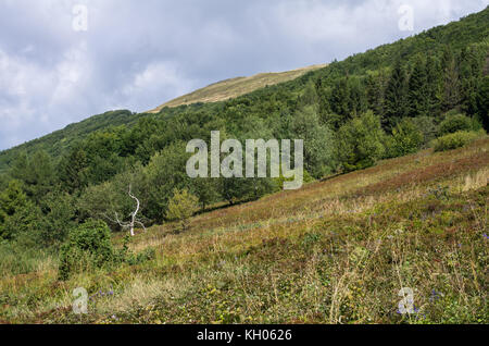 Europa, Polen, Woiwodschaft Podkarpackie, bieszczady, polonina carynska - Bieszczady National Park Stockfoto