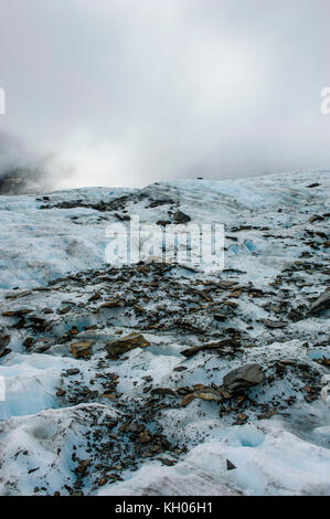 Die riesige Icefield des Fox Glacier, South Island, Neuseeland Stockfoto