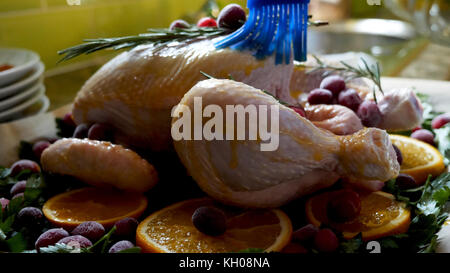 Weibliche Hände Bürsten ganze rohe Huhn mit Braten Soße in den Bräter mit orangen Preiselbeeren und Kräutern im Ofen Fach. Stockfoto