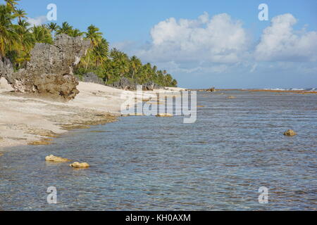 Erodierten Felsen und Kokospalmen an der Küste des Atoll tikehau, tuamotus, Französisch-Polynesien, South Pacific Ocean Stockfoto