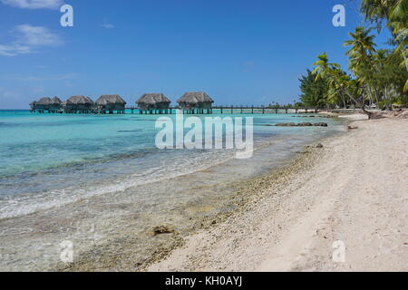 Tropischen Meer mit Bungalows über dem Wasser in der Lagune, Tikehau Atoll, tuamotus, Französisch-Polynesien, South Pacific Ocean Stockfoto