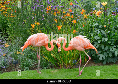 Zwei bunte Flamingos vor eine Blume Grenze in einem Land Garten Stockfoto