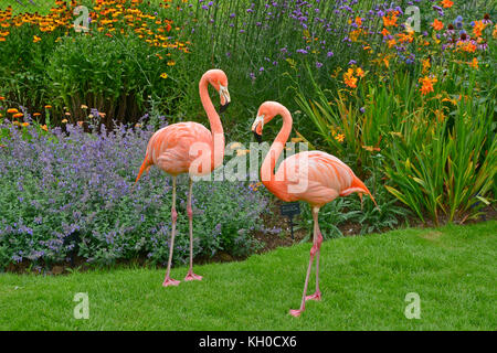 Zwei bunte Flamingos poseing vor eine Blume Grenze in einem Land Garten Stockfoto