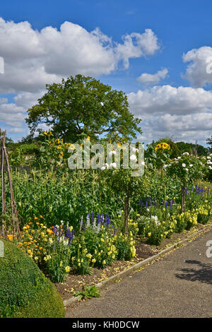 Ein großer Gemüsegarten mit gemischten Anbau von Gemüse und Blumen Stockfoto