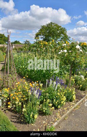 Ein großer Gemüsegarten mit gemischten Anbau von Gemüse und Blumen Stockfoto