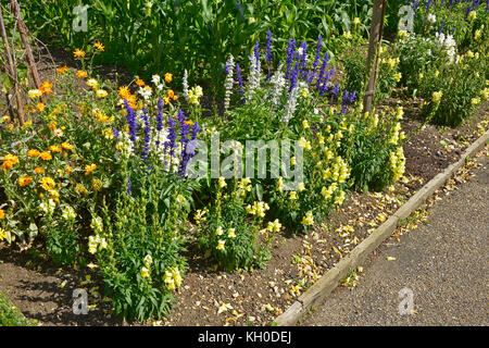 Ein großer Gemüsegarten mit gemischten Anbau von Gemüse und Blumen mit Salvia, Ringelblumen und antirrhinums Stockfoto