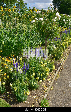 Ein großer Gemüsegarten mit gemischten Anbau von Gemüse und Blumen mit Salvia, Ringelblumen und antirrhinums Stockfoto