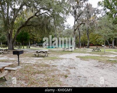 Gilchrist Blue Springs State Park, entlang des Santa Fe River, Gilchrist County, Florida, USA Stockfoto