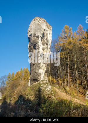 Kalkstein monadnock, Felsen namens 'Maczuga herkulesa' (Herkules Keule oder Knüppel). jurassic Rock Formation in der Nähe von pieskowa Skala, Krakau, Polen Stockfoto