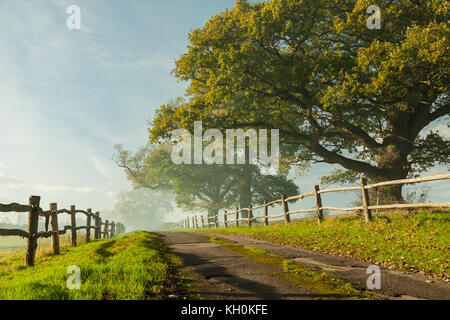 Herbstnachmittag in West Sussex, England. Stockfoto