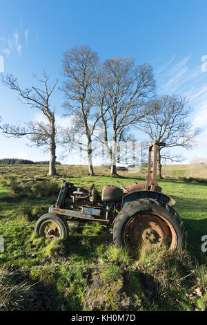 Eine verlassene Farm Traktor gesehen vor einem stand der Bäume auf dem gewohnt Weise in der Nähe von Rookhope, Co Durham, England, Großbritannien Stockfoto