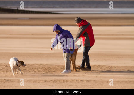 Crosby, Merseyside. UK Wetter. 10. November 2017, kalten und windigen Tag mit Wind Sand am Strand. Diesem Bereich lokal als "ein Ort, an dem man auf die Mersey Flussmündung bekannt sind starke Nordwind bläst das Licht Sand mit einem ätherischen Effekt auf die Sandy Buche. Kredit. MediaWorldImages/AlamyLiveNews. Stockfoto