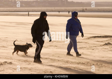 Crosby, Merseyside. UK Wetter. 10. November 2017, kalten und windigen Tag mit Wind Sand am Strand. Diesem Bereich lokal als "ein Ort, an dem man auf die Mersey Flussmündung bekannt ist berühmt für Statuen Antony Gormly der "eisernen Männer". Starke Nordwind weht das Licht Sand mit einem ätherischen Effekt auf die Sandy Buche. Kredit. MediaWorldImages/AlamyLiveNews. Stockfoto