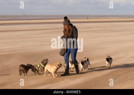 Crosby, Merseyside. UK Wetter. 10. November 2017, kalten und windigen Tag mit Wind Sand am Strand. Diesem Bereich lokal als "ein Ort, an dem man auf die Mersey Flussmündung bekannt ist berühmt für Statuen Antony Gormly der "eisernen Männer". Starke Nordwind weht das Licht Sand mit einem ätherischen Effekt auf die Sandy Buche. Kredit. MediaWorldImages/AlamyLiveNews. Stockfoto