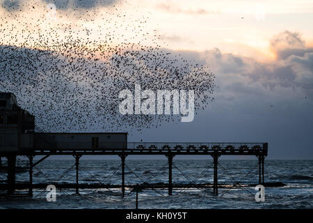 Aberystwyth Wales uk, Sunday, 12 November 2017 uk Wetter: bei Sonnenuntergang an einem hellen und Bitterkalten november Abend in Aberystwyth, Tausende von Staren swoop in der fantastischen "urmurations" in den Himmel über den Dächern, bevor sie für die Nacht auf den Beinen unter der viktorianischen Ära der Stadt am Meer Pier zum roost. Foto © Keith Morris/alamy leben Nachrichten Stockfoto