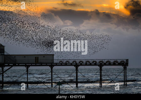 Aberystwyth Wales UK, Sonntag 12 November 2017 UK Wetter: bei Sonnenuntergang an einem hellen und bitterkalten Novemberabend in Aberystwyth stürzen Tausende von Starlingen in fantastischen „Murrationen“ am Himmel über den Dächern, bevor sie hinabsteigen, um die Nacht auf den Beinen unter dem viktorianischen Küstenpier der Stadt zu verbringen. Foto © Keith Morris / Alamy Live News Stockfoto