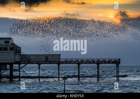 Aberystwyth Wales UK, Sonntag 12 November 2017 UK Wetter: bei Sonnenuntergang an einem hellen und bitterkalten Novemberabend in Aberystwyth stürzen Tausende von Starlingen in fantastischen „Murrationen“ am Himmel über den Dächern, bevor sie hinabsteigen, um die Nacht auf den Beinen unter dem viktorianischen Küstenpier der Stadt zu verbringen. Foto © Keith Morris / Alamy Live News Stockfoto