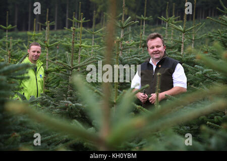 Mittelsinn, Deutschland. 11 Sep, 2017. Die Vorsitzende des Bundesverbands der Weihnachtsbaum Züchter, Bernd oelkers (r) und Weihnachtsbaum Züchter Uwe klug stehen zwischen Tannen auf dem Weihnachtsbaum Plantage in der Nähe mittelsinn, Deutschland, 11. September 2017. Aufgrund der klug Initiative mittelsinn hat jetzt in Deutschland werden erste Weihnachtsbaum Dorf. Credit: Karl-josef Hildenbrand/dpa/alamy leben Nachrichten Stockfoto