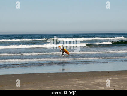 Cannon Beach, USA. September 2017. Ein Surfer trägt sein Board, als er am 2. September 2017 in Cannon Beach, USA, ins Meer tritt. Cannon Beach ist eine kleine Stadt im Clatsop County, Oregon und ein beliebtes Touristenziel im pazifischen Nordwesten. Auszeichnung: Alexandra Schuler/dpa/Alamy Live News Stockfoto