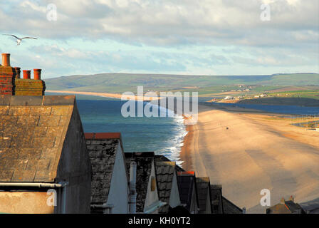 Portland, Dorset, Großbritannien. 12. November 2017 - Nachmittag Sonnenschein Rechen über eine chlly Chesil Beach auf das Gedenken Sonntag Credit: stuart Hartmut Ost/alamy leben Nachrichten Stockfoto