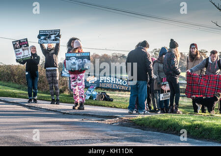 Broad Oak, Heathfield, East Sussex, Großbritannien. Nov. 2017. Die Demonstranten von Sussex Animal Save versammeln sich am Eingang zum Schlachthof der Tottingworth Farm. Stockfoto