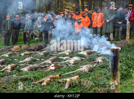 Getötet Füchse und Hirsche auf dem Boden liegend nach einem altmodischen Jagd in einer Waldlichtung in der Nähe von heinersdorf, Deutschland, 11. November 2017. Verschiedene Arten der Jagd in vielen Städten in Deutschland. Brandenburg gehört zu den Regionen in Deutschland mit der größten Bestände von Rotwild, Damwild und Schwarzwild. Foto: Patrick pleul/dpa-zentralbild/zb Stockfoto