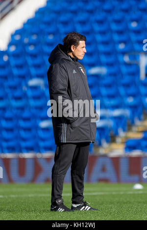 Cardiff, Wales, Vereinigtes Königreich, 13. November 2017. Wales-Trainer Chris Coleman während des Trainings im Cardiff City Stadium vor dem Internationalen Freundschaftsspiel gegen Panama. Quelle: Mark Hawkins/Alamy Live News Stockfoto