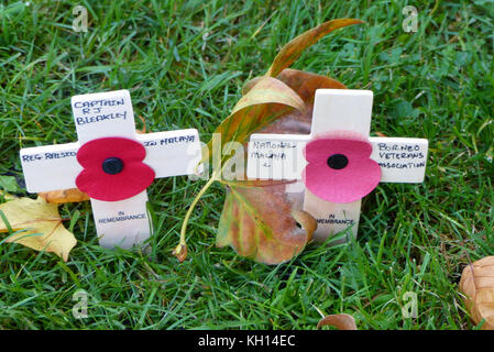 London, Großbritannien. 13 Nov, 2017. Menschenmassen versammeln, um Ansehen und Werk memorial Mohn die der beiden Weltkriege auf dem Gelände von Westminster Abbey, London. Gutschrift zu gedenken: Brian minkoff/alamy leben Nachrichten Stockfoto