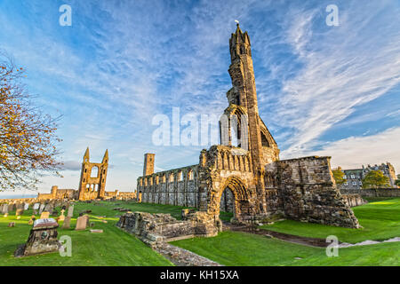 St Andrews Cathedral in St. Andrews, Schottland Stockfoto