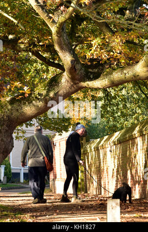 Ein älteres Paar ein Hund an einem von Bäumen gesäumten Weg im Herbst an Blickling Hall National Trust property in Norfolk. herbstliche Landschaft. Stockfoto