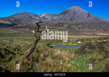 Torrin, Isle of Skye, Schottland, Vereinigtes Königreich Stockfoto