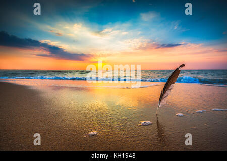 Gull Feder stecken in den Sand, Meer, Sonnenaufgang geschossen Stockfoto
