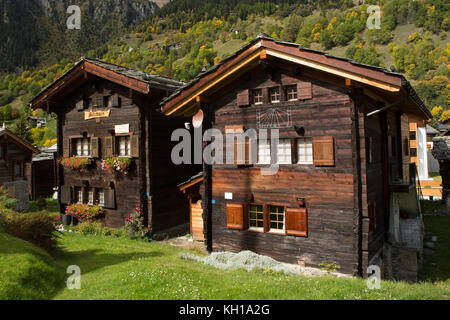 BLATTEN, SCHWEIZ - SEPT. 28, 2017: Zwei traditionelle große hölzerne Swiss Chalets mit einem Herbst Wald im Hintergrund. Stockfoto