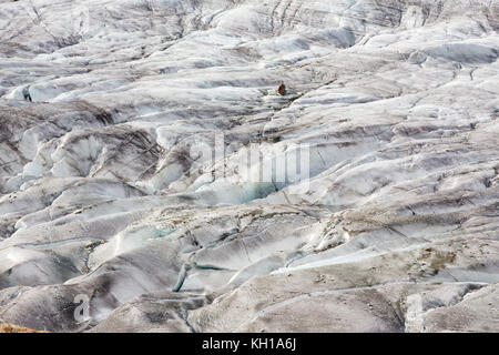 Grossen Aletschgletscher, Schweiz: Detail der tiefe Risse oder Spalten auf Europas größtem Gletscher. Stockfoto