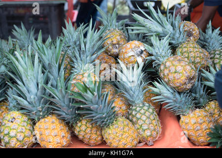 Stapel von Ananas für den Verkauf am lokalen Markt für frische Erzeugnisse Stockfoto