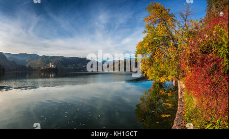 Bled, Slowenien - Schöne Herbstfarben am Bleder See mit Wallfahrtskirche Mariä Himmelfahrt und Bäumen Stockfoto