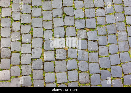 Kopfsteinpflaster in Rom, Italien Stockfoto