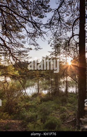 Queens Loch in Aboyne auf Royal Deeside in Schottland. Stockfoto