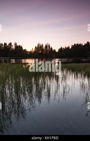 Queens Loch in Aboyne auf Royal Deeside in Schottland. Stockfoto