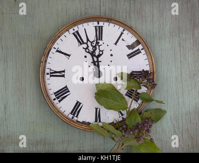 Alte Uhr am grünen Holz Hintergrund. Neues Jahr Hintergrund mit Pflanzen und violetten Beeren. frische Blätter und violetten Beeren. Vintage Uhren. Stockfoto