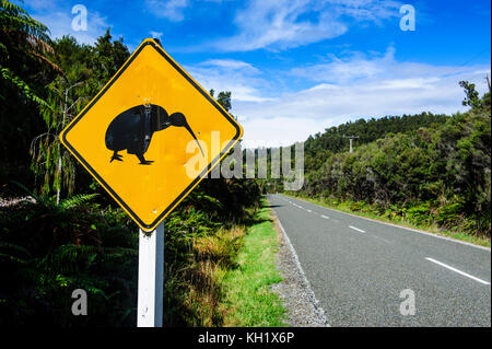 Kiwi Warnschild entlang der Straße zwischen Fox Glacier und Greymouth, Südinsel, Neuseeland Stockfoto